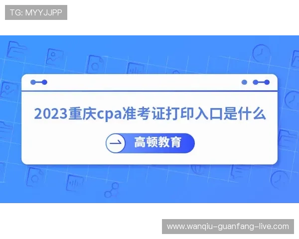 稳胆是什么意思 品牌入口避坑下载评测
